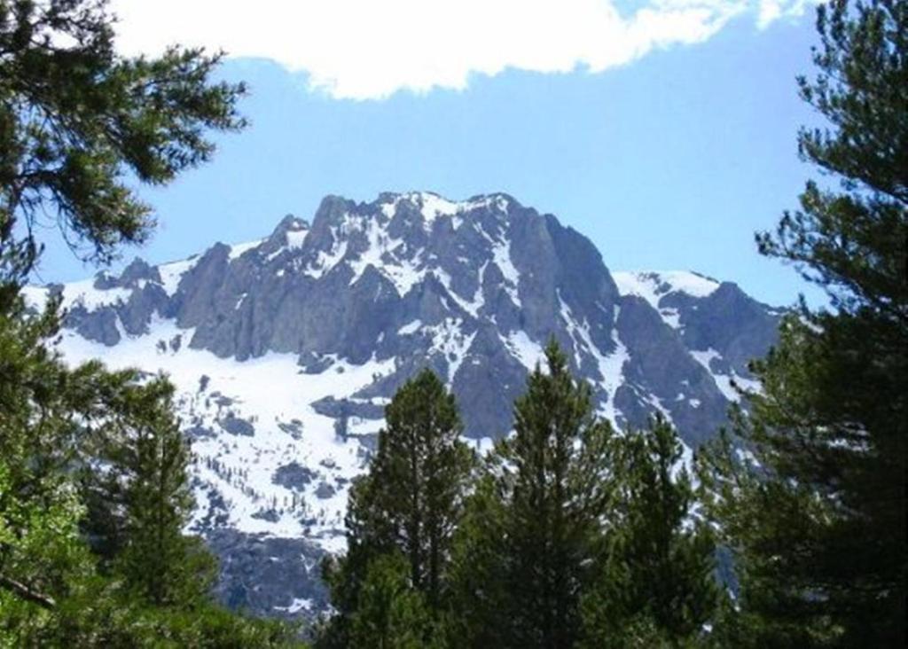Birch Creek #1 - 1Br/1Ba - Down Canyon June Lake Buitenkant foto