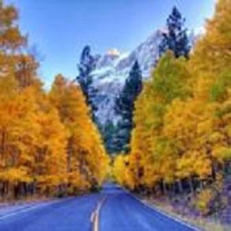 Birch Creek #1 - 1Br/1Ba - Down Canyon June Lake Buitenkant foto
