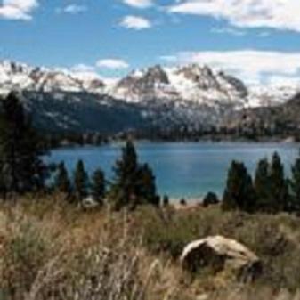 Birch Creek #1 - 1Br/1Ba - Down Canyon June Lake Buitenkant foto