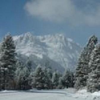 Birch Creek #1 - 1Br/1Ba - Down Canyon June Lake Buitenkant foto